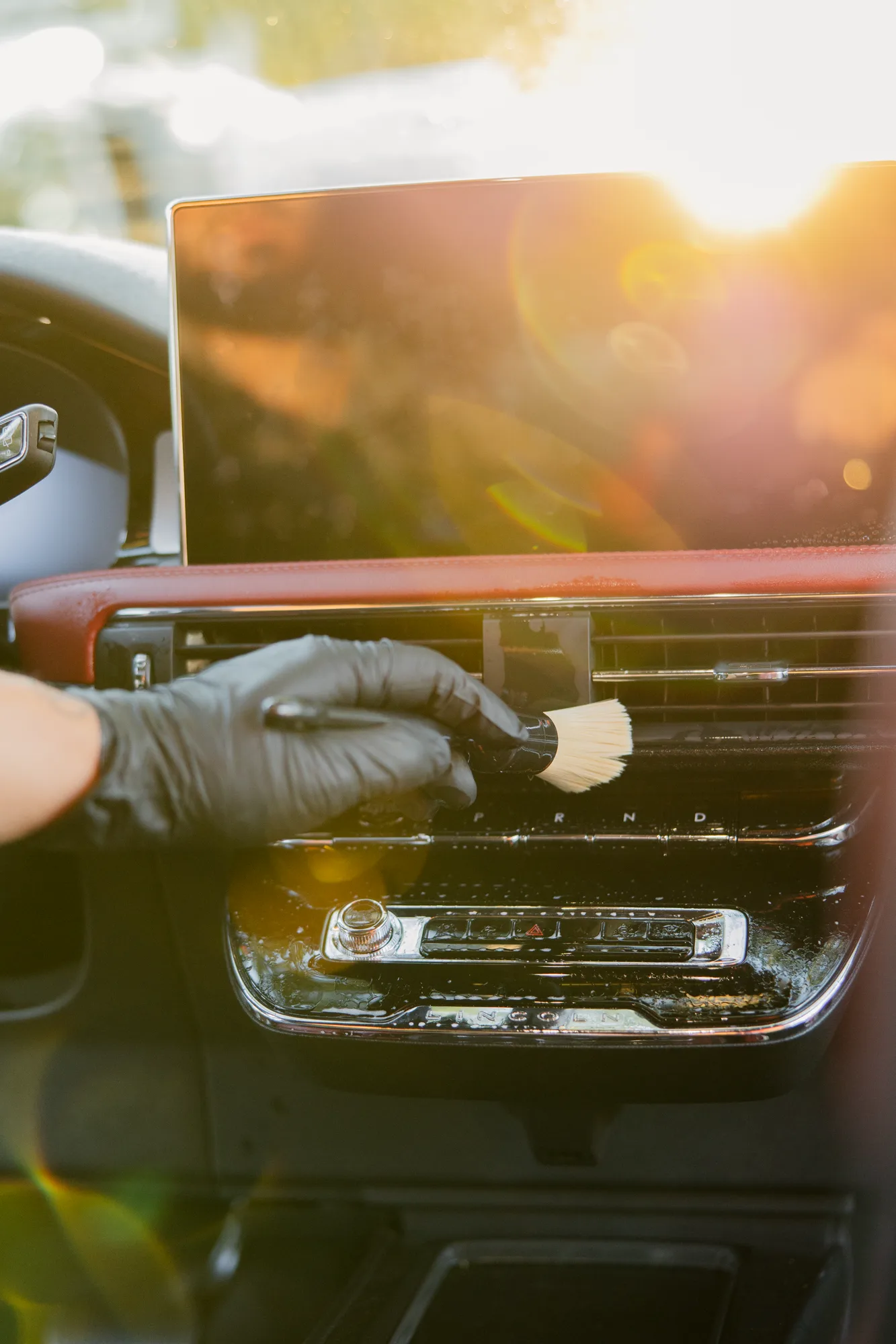 Interior Steam & Leather Care